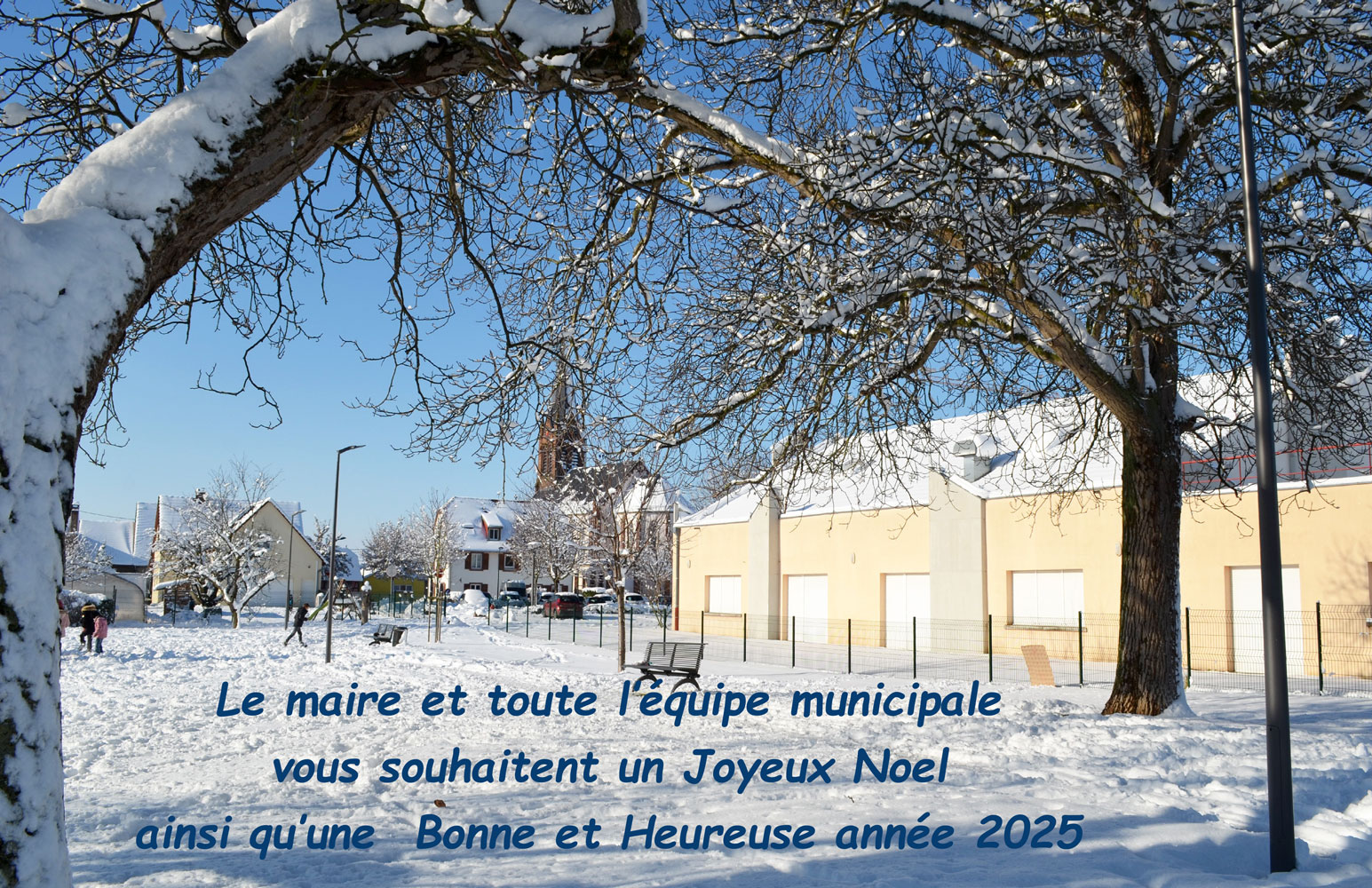 Meilleurs voeux