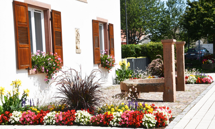 Wiwersheim a obtenu une Première Fleur au Label des Villes et Villages fleuris (VVF) 2025